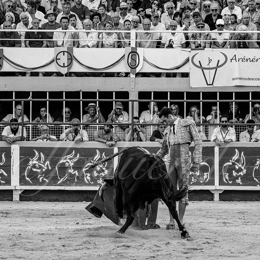 20230820 st gilles 025