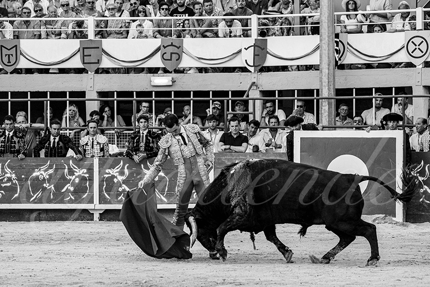 20230820 st gilles 024