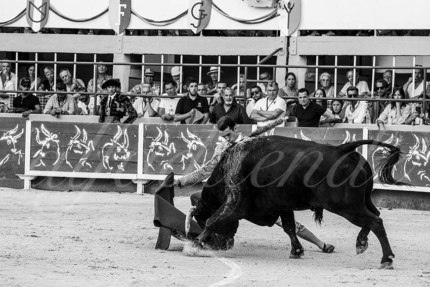 20230820 st gilles 022