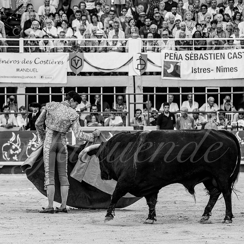 20230820 st gilles 020