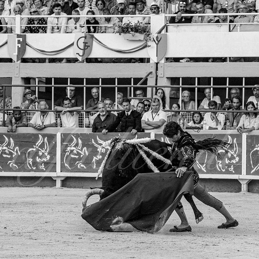 20230820 st gilles 013