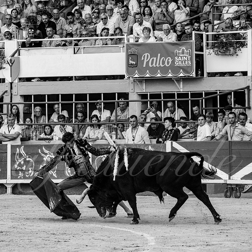 20230820 st gilles 012