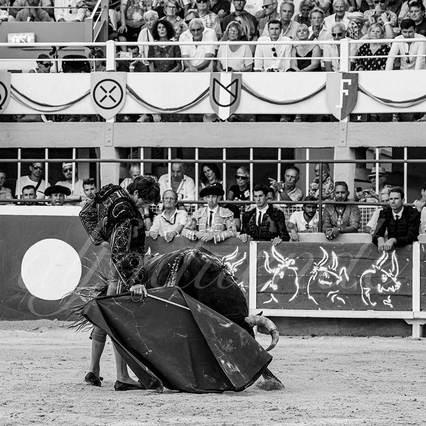 20230820 st gilles 009