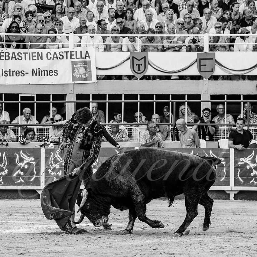 20230820 st gilles 008