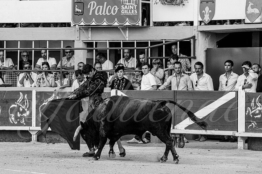 20230820 st gilles 006