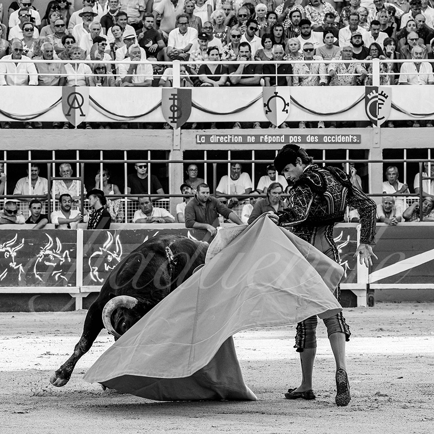 20230820 st gilles 005