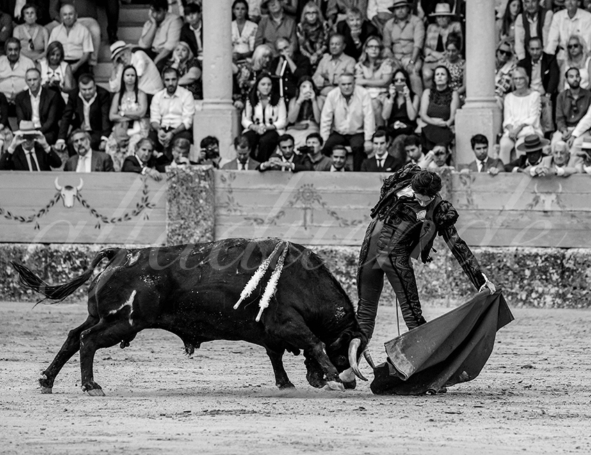 20230902 ronda goyesca 033