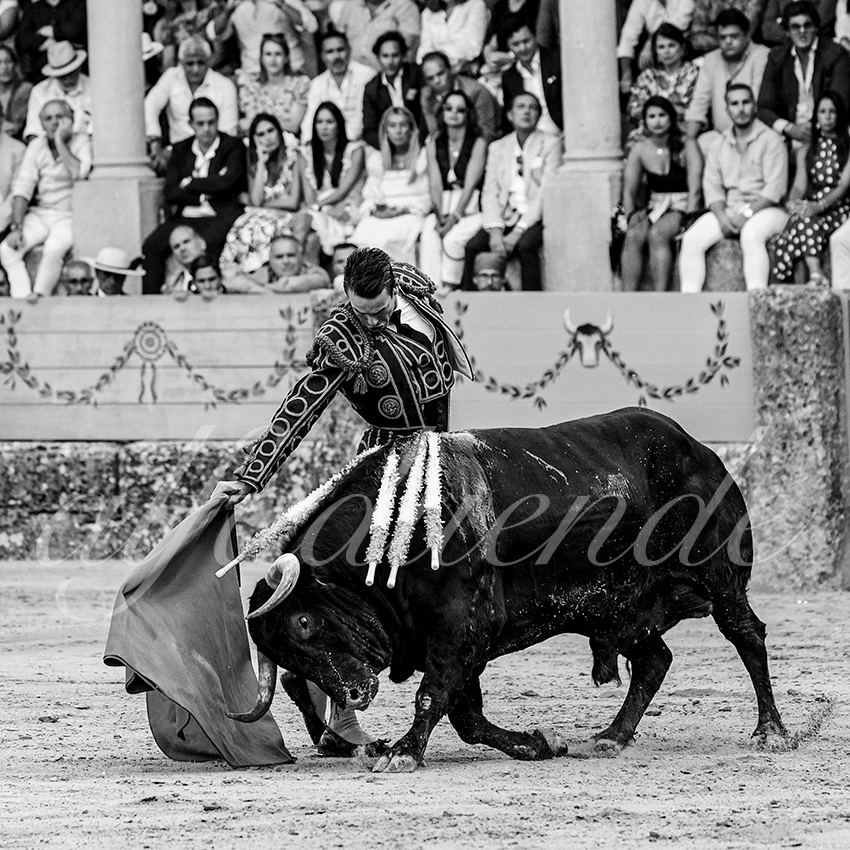 20230902 ronda goyesca 021