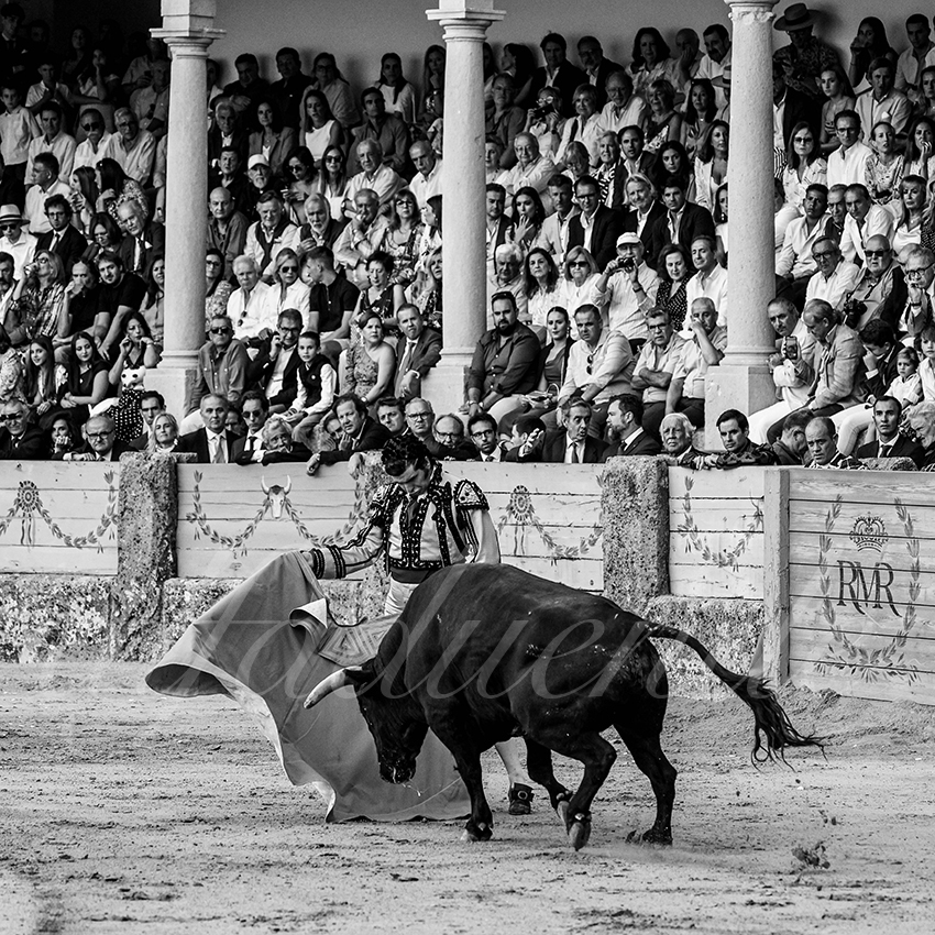 20230902 ronda goyesca 009