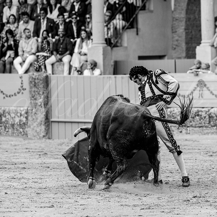 20230902 ronda goyesca 016