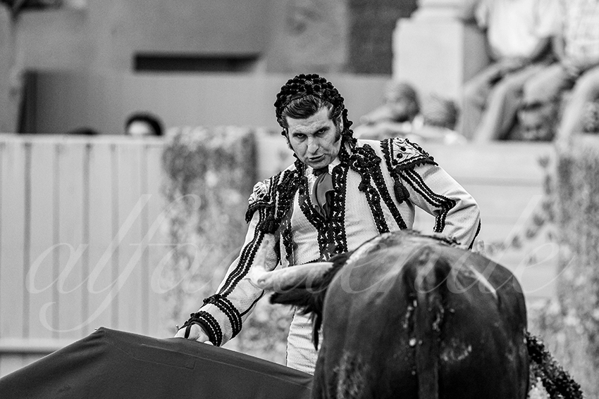 20230902 ronda goyesca 015