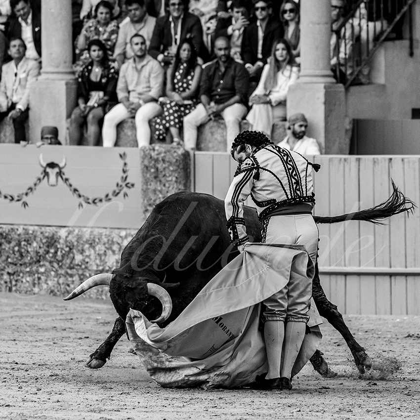 20230902 ronda goyesca 011