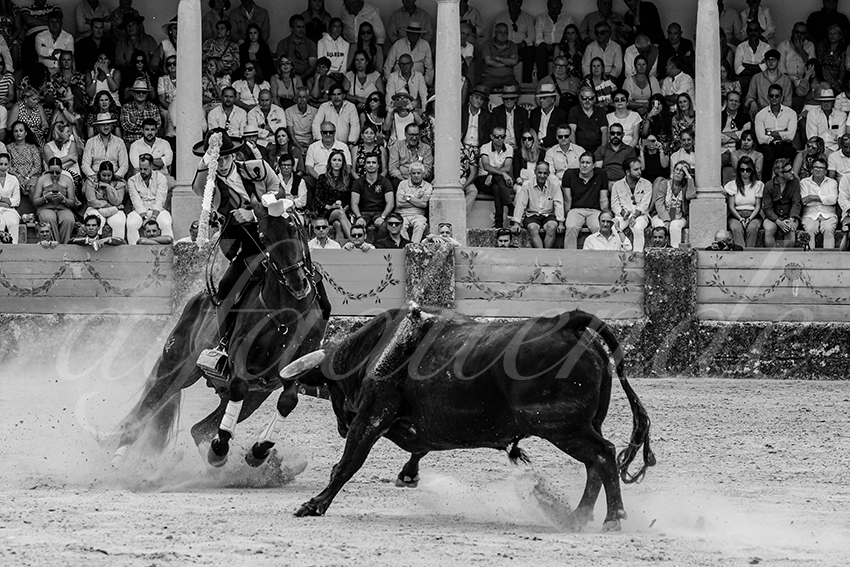 20230902 ronda rejon 020