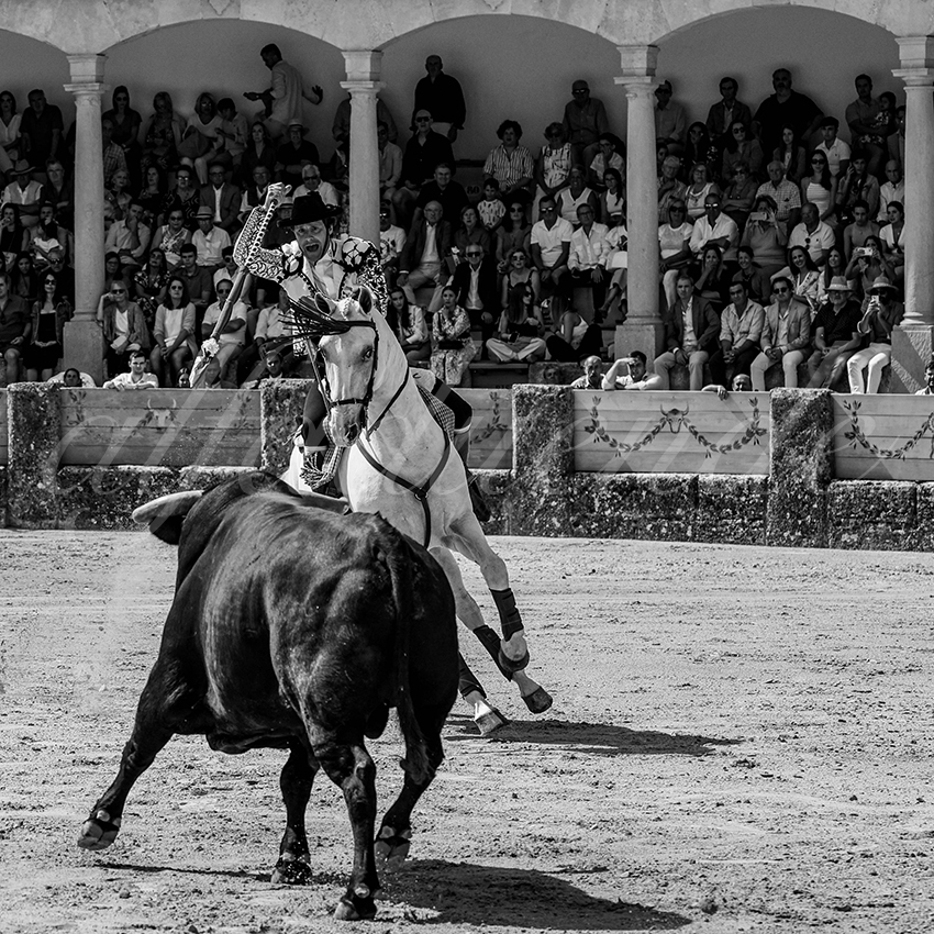 20230902 ronda rejon 012