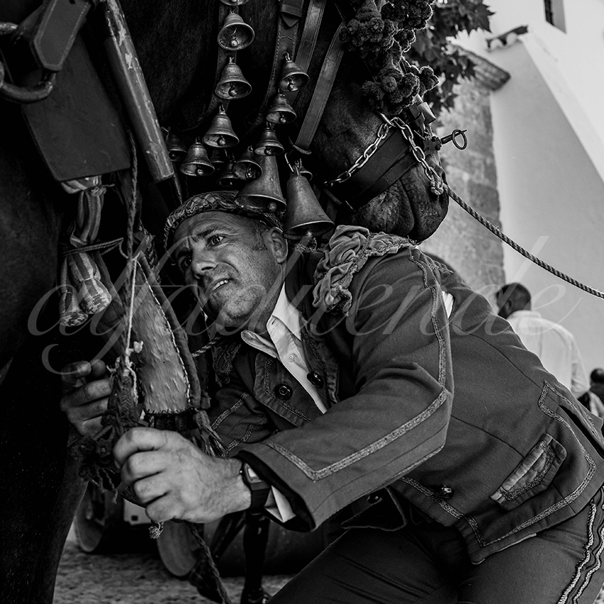 20230902 ronda rejon 001