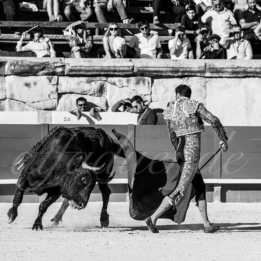 20230914 nimes 007