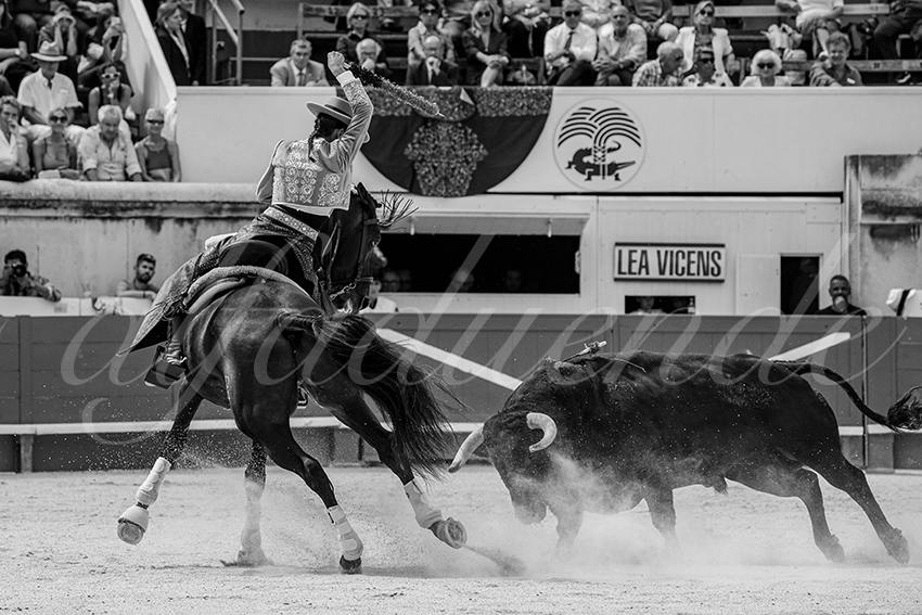 20230916 nimes rejon 013