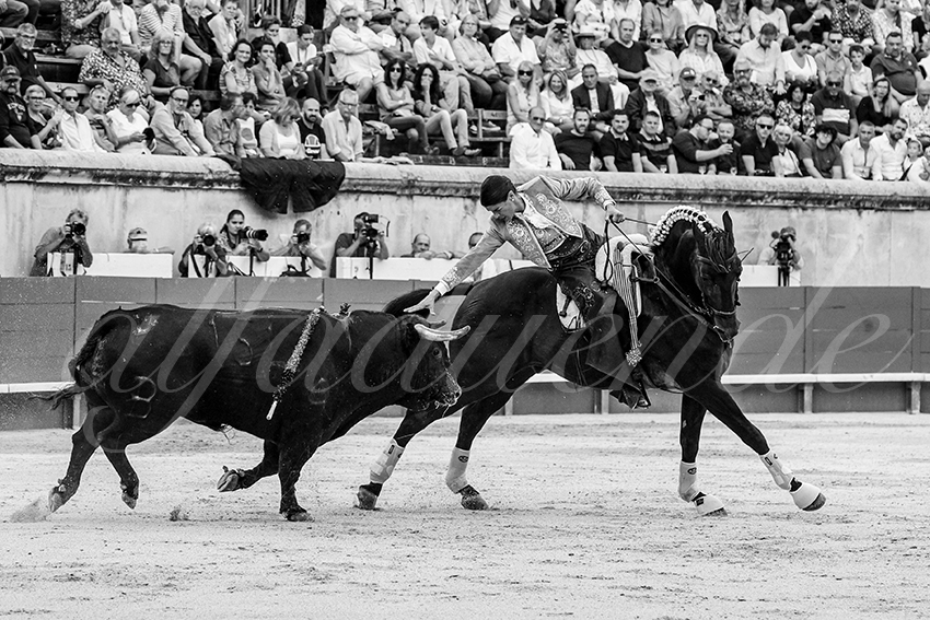 20230916 nimes rejon 012