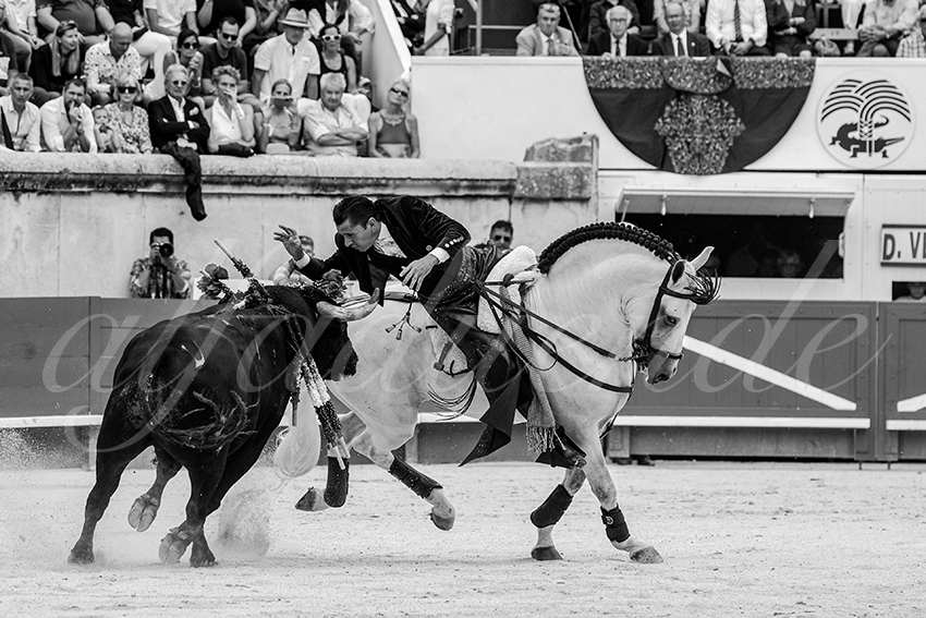 20230916 nimes rejon 009