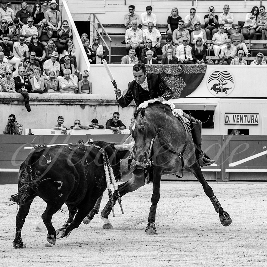 20230916 nimes rejon 008