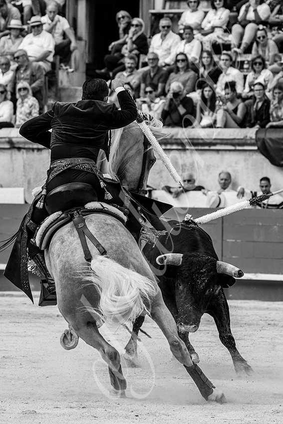 20230916 nimes rejon 006