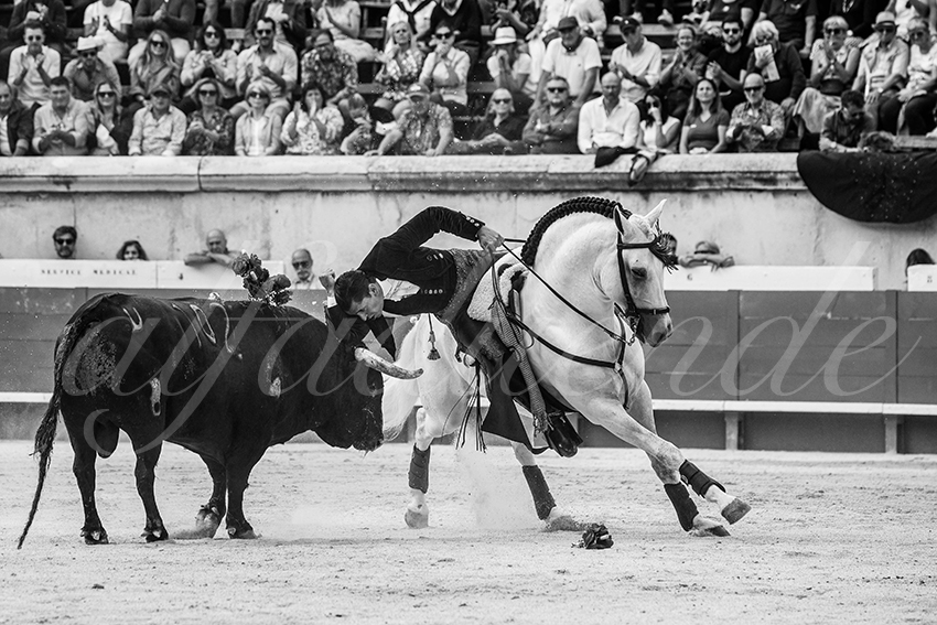 20230916 nimes rejon 005