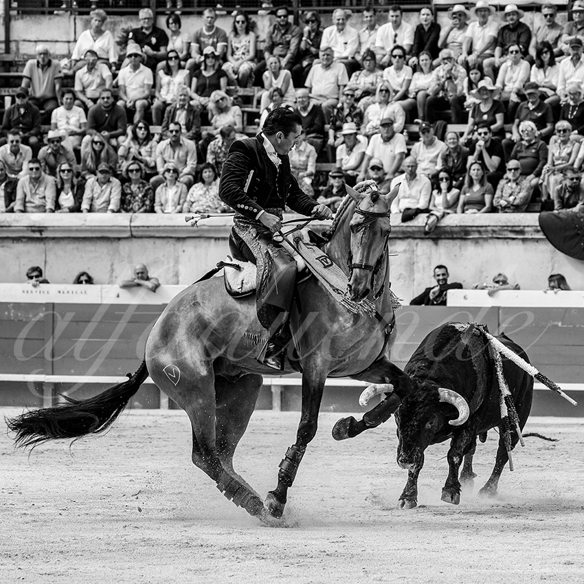 20230916 nimes rejon 004