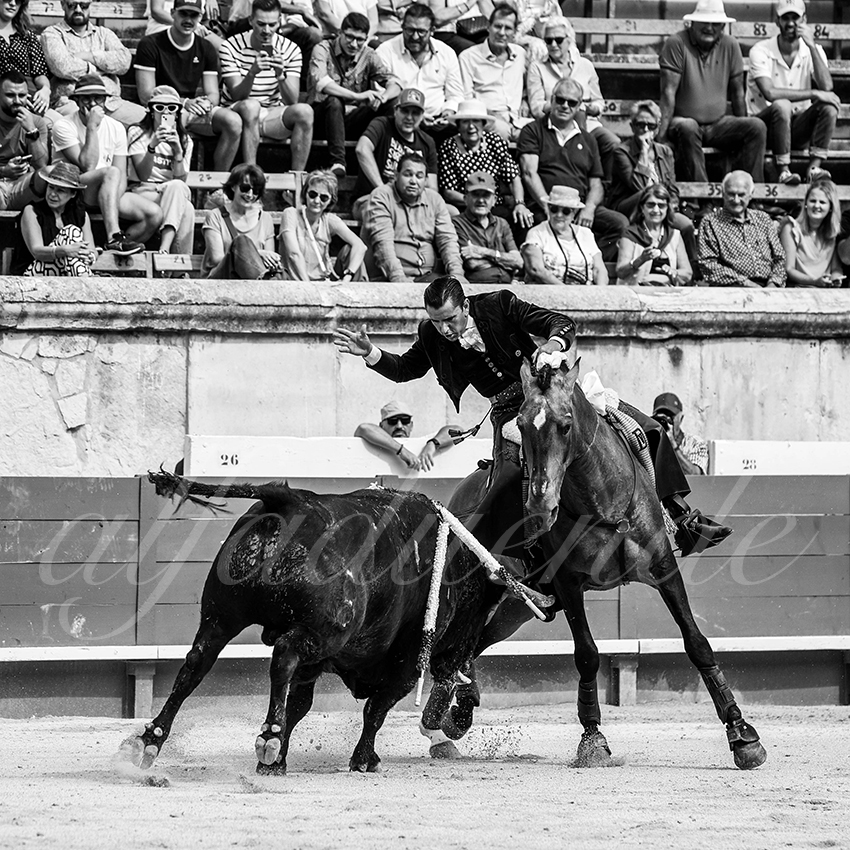 20230916 nimes rejon 003