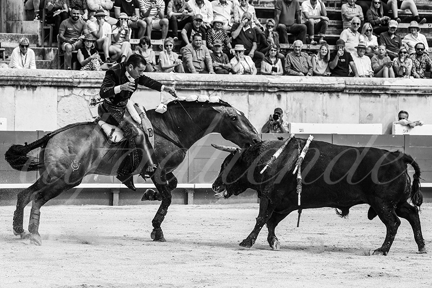 20230916 nimes rejon 002