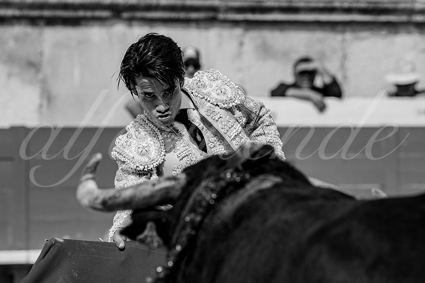 20230917 nimes nov 026