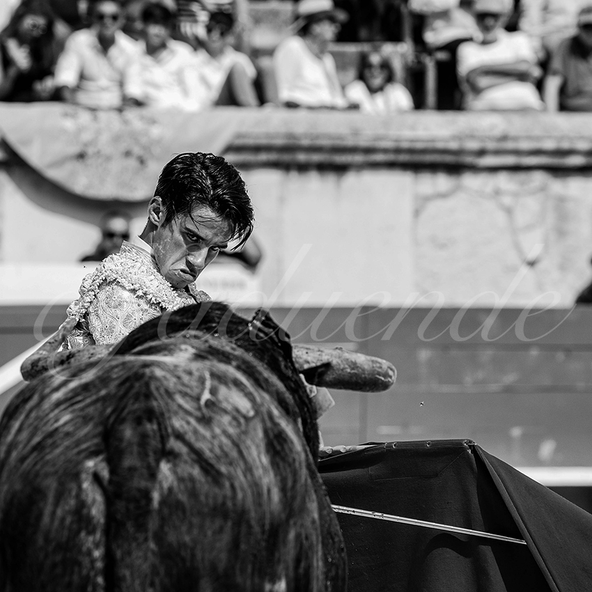 20230917 nimes nov 025