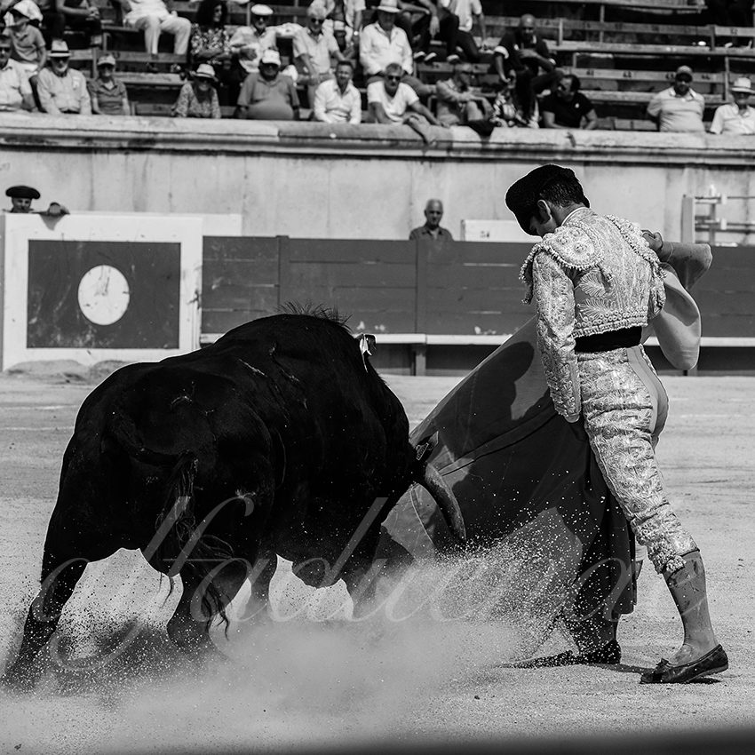 20230917 nimes nov 024