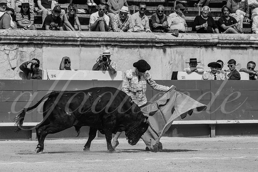 20230917 nimes nov 023