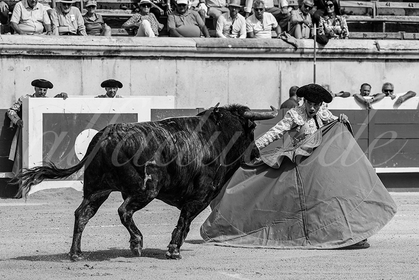 20230917 nimes nov 022