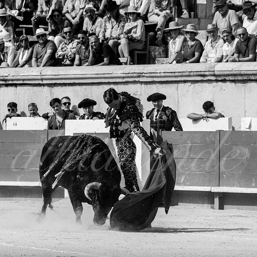 20230917 nimes nov 018