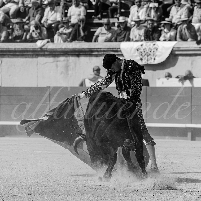 20230917 nimes nov 016