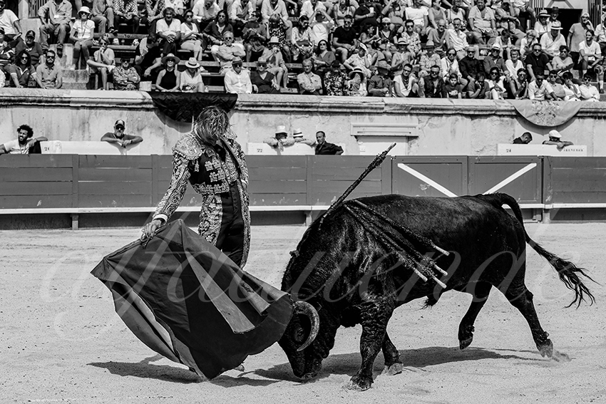 20230917 nimes nov 013