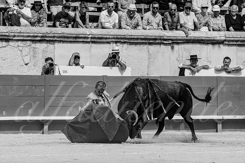 20230917 nimes nov 012