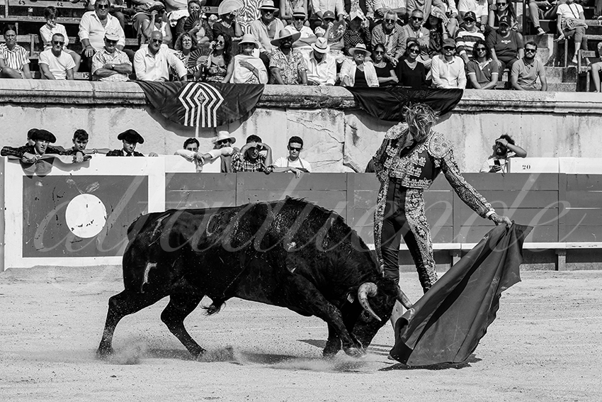 20230917 nimes nov 011