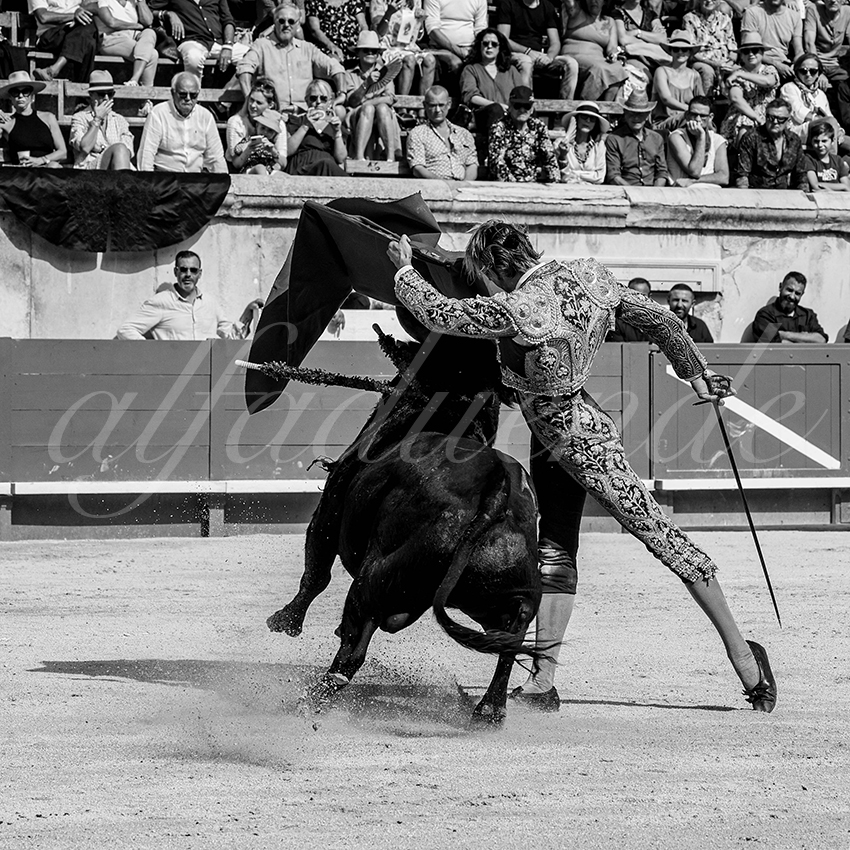 20230917 nimes nov 010