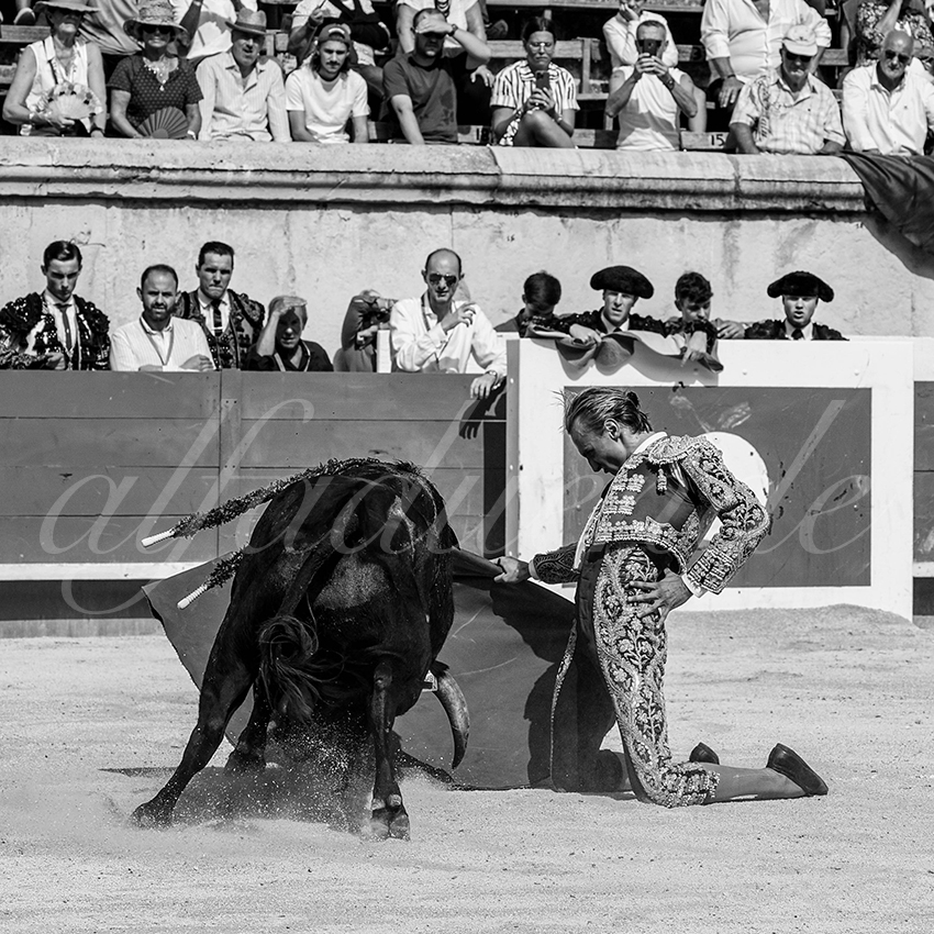 20230917 nimes nov 009