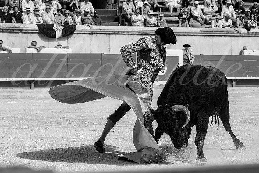 20230917 nimes nov 007