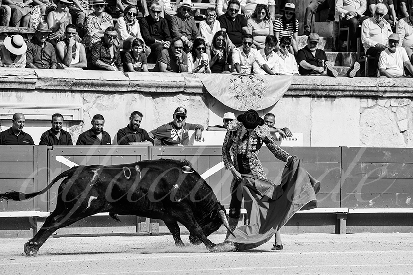 20230917 nimes nov 005