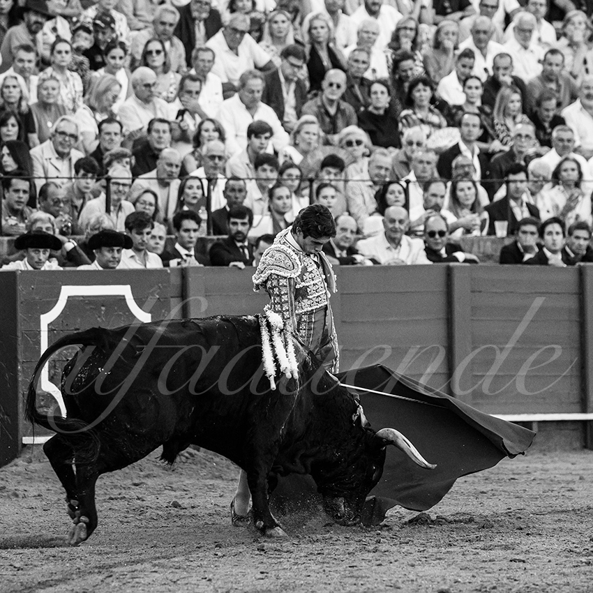 20230430 sevilla 009