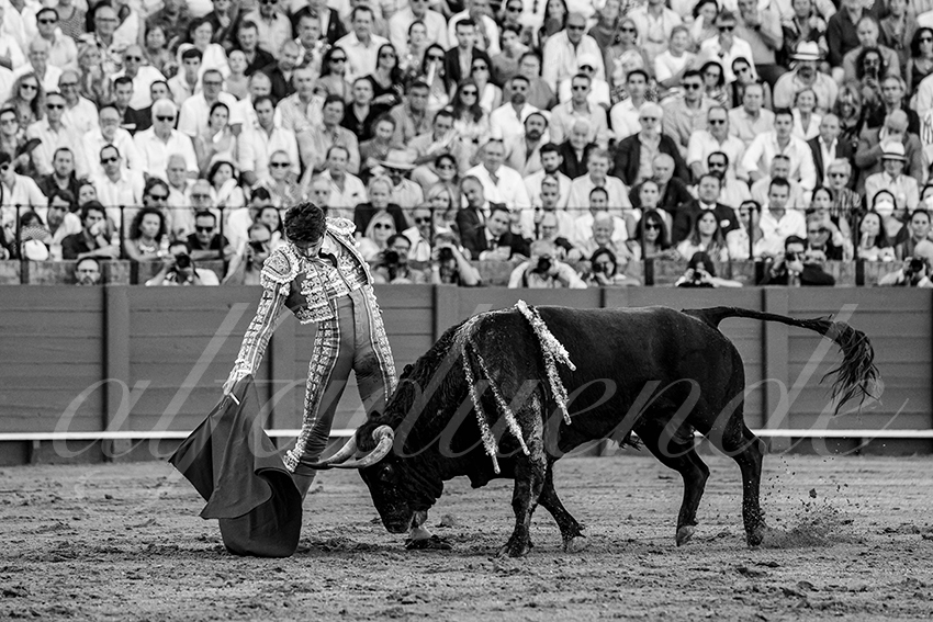 20230430 sevilla 004