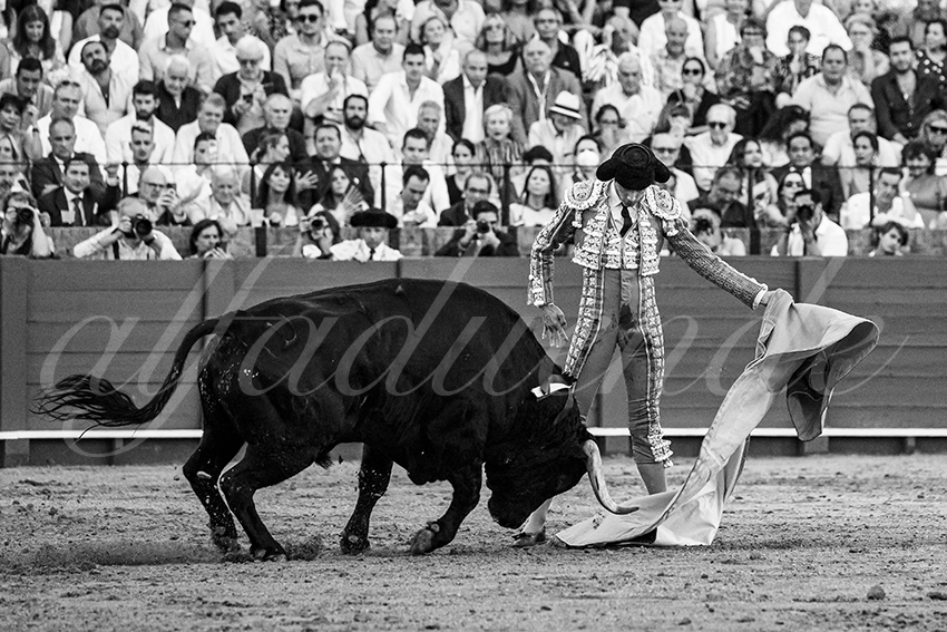 20230430 sevilla 003