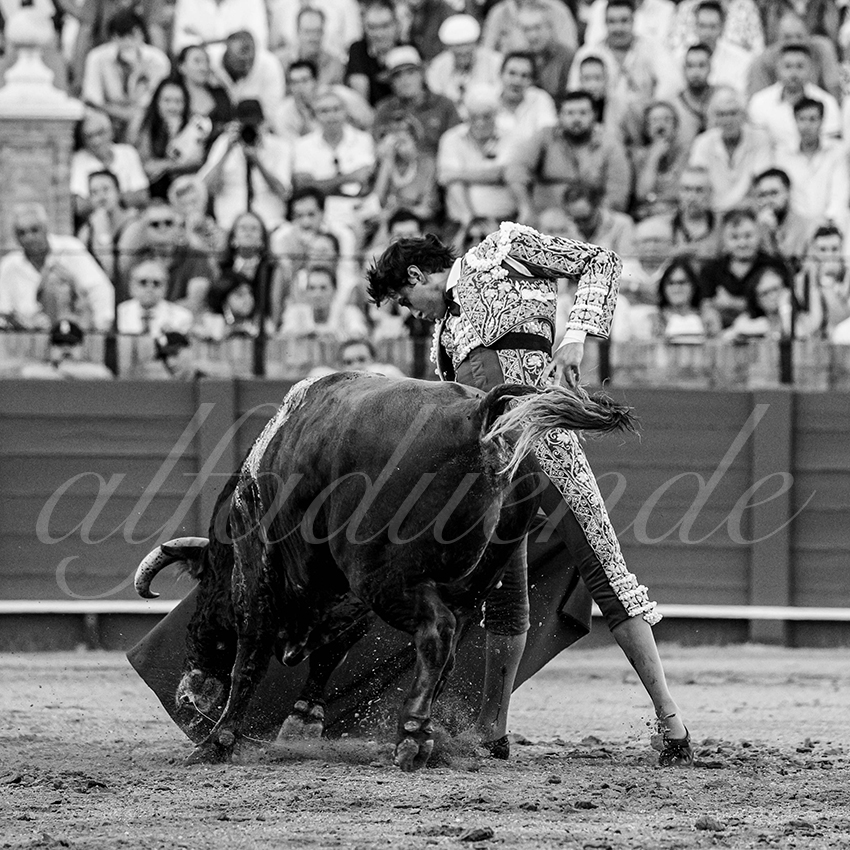 20230430 sevilla 023