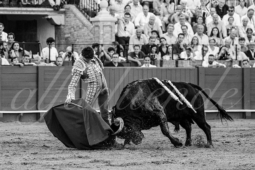 20230430 sevilla 011