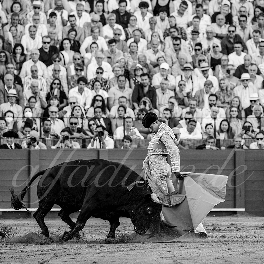 20230430 sevilla 018