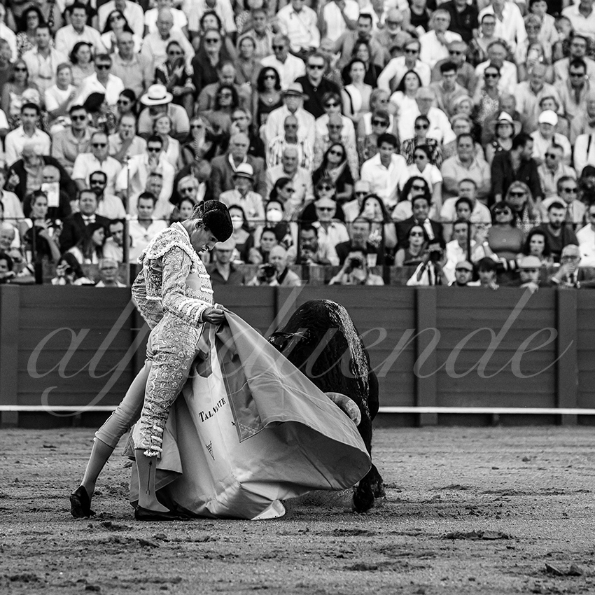 20230430 sevilla 017